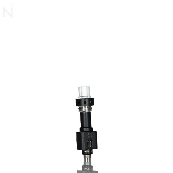 Early Bird Serin Boro RBA