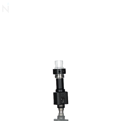 Early Bird Serin Boro RBA